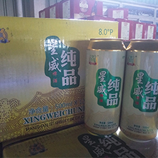 8度 500ml星威啤酒纯品易拉罐